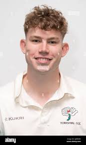 Revis hi-res stock photography and images