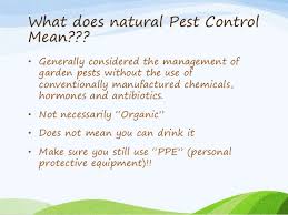 Shop pest control and more at the home depot. Natural Pest Control In The Garden
