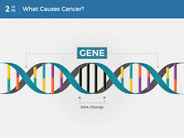 How does cancer cause signs and symptoms? What Is Cancer National Cancer Institute