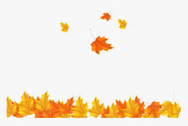White background shown about half of actual size. Freeuse Download Autumn Leaves Background Clipart Transparent Background Fall Leaves Png Png Download Transparent Png Image Pngitem