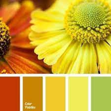 Cerulean and apple green neighbors on the color wheel, green and blue are cool colors that form a refreshing combination. What Color Goes Well With Lime Green Quora Grune Farbpalette Orange Farbpaletten Farbkombination