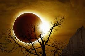 Une éclipse solaire va se produire ce jeudi 10 juin 2021 dans certaines régions du monde. Eclipse Annulaire Du Soleil En Capricorne Du 26 Decembre Wemystic France