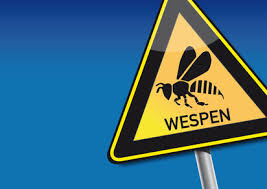 Check spelling or type a new query. Was Hilft Gegen Wespen 15 Tipps Fur Den Sommer