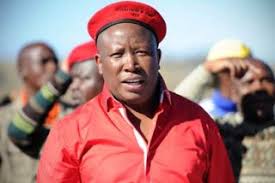 Julius malema talks sense to anc mps. Julius Malema To Donate House To Jacob Zuma S Impoverished Neighbour