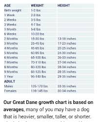 35 unexpected labrador puppy height chart