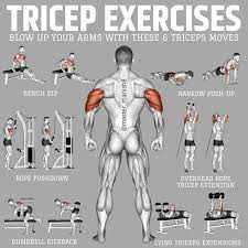 Pin On Gym