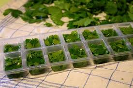 A cette température toutes les réactions chimiques sont beaucoup plus lentes qu'à température ambiante. Comment Congeler Les Herbes Aromatiques Persil Menthe Coriandre Trucs Et Astuces Cuisine Aromates Cuisine Et Boissons