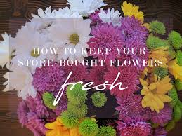 Your fruit favorites, including apples, bananas and tomatoes, all produce high and, if you really want to keep flowers fresh in a vase for as long as possible, you need to change the water every day. Itsalyx How To Keep Store Bought Flowers Alive