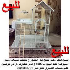 للبيع قفص كبير ينفع لكل الطيور و نظيف مستعمل لمدة أسبوعين فقط البيع ب 1500 و قابل لتفاوض و في توصيل على حساب المشتري للتواصل 050338873 Home Decor Decor Storage