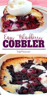 Bisquick Blackberry Cobbler Recipe Blackberry Cobbler Recipe Blackberry Recipes Easy Fruit Cobbler Bisquick Recipes