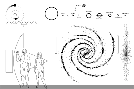 Image result for pioneer plaque