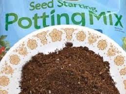 Potting soil may be used for seed starting, in some cases. 7 Best Seed Starting Mixes In 2021 Reviews And Buying Guide