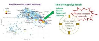 Image result for Ptycholobium contortum