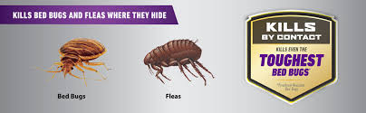 Learning that there are bed bugs crawling around your home can be frightening. Ortho Home Defense Max Bed Bug Flea Killer Powder Flea Bed Bug Powder Apply To Cracks Crevices In Bed Frames Baseboards Window Frames Bed Bug Flea