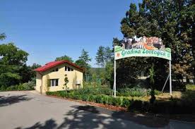 Citeste si alte obiective asemanatoare cu gradina botanica din galati din judetul galati E Oficial Se Redeschide GrÄdina ZoologicÄ Cat CostÄ Intrarea Si Cu Ce PuteÅ£i Ajunge Acolo ViaÅ£a LiberÄ GalaÅ£i
