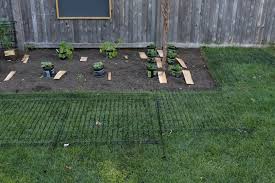 Check spelling or type a new query. Our New Garden And Tips To Keep Animals Out Nesting With Grace