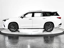 Image result for Wind Chill 2024 TX