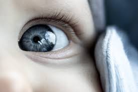 Eyes can be little or big, and they can be many colors. Your Baby S Eye Color Baby Blues Are Becoming Rarer The Pulse