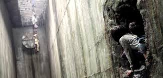 New jersey kanalizasyonlarında gezinen yarı kurtçuk, yarı insan * bir darin morganı bünyesinde barındırır. The Host 10 Years Later