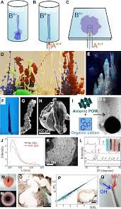Maybe you would like to learn more about one of these? Chemical Gardens A To C Schematics Of Experiments Using A A Seed Download Scientific Diagram