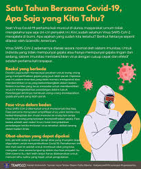 Gejalanya tersebut dibedakan menjadi dua kategori, yaitu orang dengan gejala umum dan orang tanpa gejala. Satu Tahun Bersama Covid 19 Apa Saja Yang Kita Tahu Grafis Tempo Co
