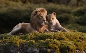 The Lion King Box Office Day 2 Early Trends Witnesses A Huge Growth The summer has also declined by 5.9% to $2.78 billion. the lion king box office day 2 early