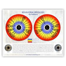 Free Iris Positions Chart Behavioral Iridology