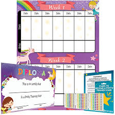 Potty Training Chart Reward Sticker Chart Girls Theme