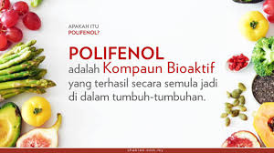 Winang budoyo yang merupakan kepala ekonomi bank tabungan negara mengatakan bahwa terjadinya. Apa Itu Polifenol Dan Kenapa Badan Perlukan Polifenol Atul Hamid