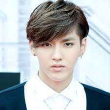 63 Korean Hairstyles For Men And Boys In Style For 2020 Korean Hairstyle Korean Men Hairstyle Hipster Haircuts For Men