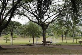 Taman wawasan recreational park (park) is located at puchong, selangor, malaysia. Taman Wawasan Recreational Park Puchong Recreational Parks Puchong Tree