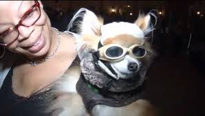 This was an event we covered during Holloween called the Howl-O-Ween party  for the Animal Welfare League of Alexandria Virginia. They are a nonprofit  organization and could use a little support.