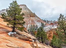 Built by trivia lovers for trivia lovers, this free online trivia game will test your ability to separate fact from fiction. A National Parks Quiz And A Little Bit Of Trivia