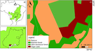 We did not find results for: A Map Showing Cerrado In Brazil B Goias State With Quirinopolis Download Scientific Diagram