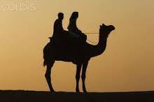 On the third day out, the camel suddenly dropped dead without warning. Manologue Priest And Nun Stranded In The Desert Facebook
