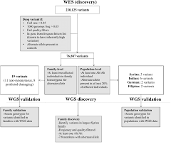 flowchart showing single variant analysis steps for wes and