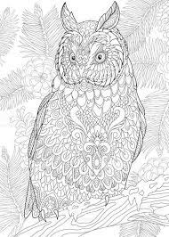 Mandala Zum Ausmalen Eule Novocom Top