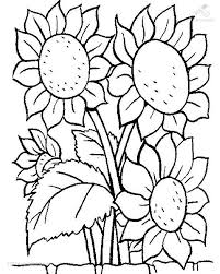1001 Ausmalbilder Pflanzen Blumen Blume Ausmalbild Blumen Ausmalbilder Ausmalbilder Blumenzeichnungen