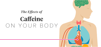 Caffeine is classified as a methylxanthine alkaloid. The Effects Of Caffeine On Your Body