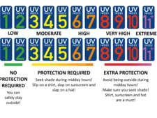 Some exposure to the sun's rays is beneficial as it helps our bodies produce vitamin d. Bfs What Is The Uv Index