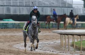 Find out the picks and predictions for this weekend's race. N5aocqshhesyam