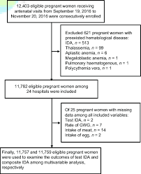 Flowchart Of Included Population Ida Iron Deficiency