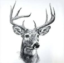 Just like any hobby, there are a variety of ability levels in woodwork. Reindeer Drawings In Pencil Novocom Top
