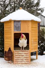27 Best Chicken Coop Ideas For Cute Country Living 2020 In 2020 Chicken Coop Chickens Backyard Best Chicken Coop