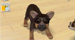 Hay day is a popular mobile game created by supercell in 2012. How To Unlock All The Dogs On Nintendogs 3 Steps With Pictures