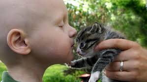 It's normal for your child to be anxious from time to time, but how can you know whether his worries are cause for concern? Stressed Pets Reducing Their Anxiety Now And When You Go Back To Work Cnn