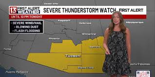 Severe Thunderstorm Watch for all of Southeast Arizona