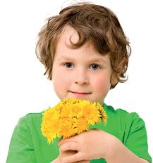 Quality of Care Report 12-11.indd