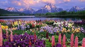 Hd to 4k quality, free and download ready. Desktop Wallpaper Spring Season