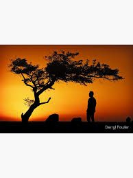 "Deep Thought"Dog Rocks,Batesford ,Geelong.